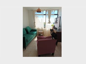 CompartoDepto CL - Busco roomie, Viña del Mar - CH$270.000 por mes