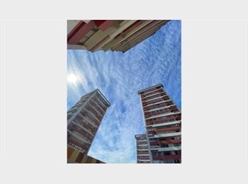 CompartoDepto CL - Busco Roomie Mujer, Viña del Mar - CH$290.000 por mes