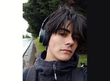 CompartoDepto CL - Pablo - 19 - Santiago