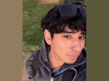 CompartoDepto CL - Joaquin - 20 - Viña del Mar