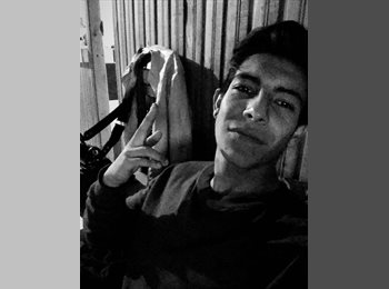 CompartoDepto CL - Nicolas - 26 - Valparaíso