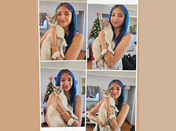 CompartoDepto CL - Catalina Malgue - 22 - Viña del Mar