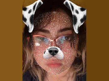 CompartoDepto CL - Alekzeis  - 18 - Viña del Mar