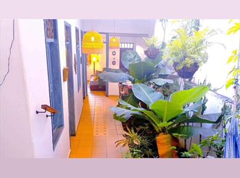 CompartoApto CO - Hello!! Hola! Beutiful Colonial House close San Antonio, Cali - COP$ 700.000 por mes