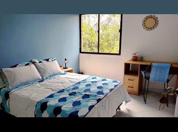 CompartoApto CO - Habitación Privada - Barrio Carlos E. Restrepo, Medellín - COP$ 890.000 por mes