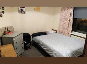 Roomgo IE - Bedroom available - Harold's Cross, Dublin - €620 pcm