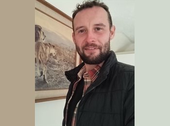 Roomgo IE - Dylan  - 31 - Dublin