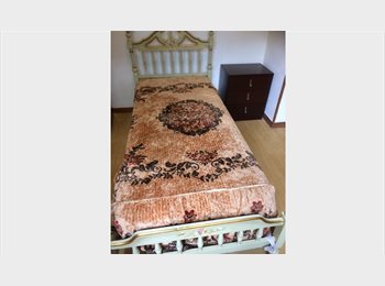 Roomgo IT - Affittasi stanza singola, Ravenna - 210 € al mese