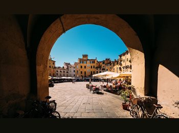 Roomgo IT - Ampia e luminosa camera con vista in pieno centro, Lucca - 600 € al mese