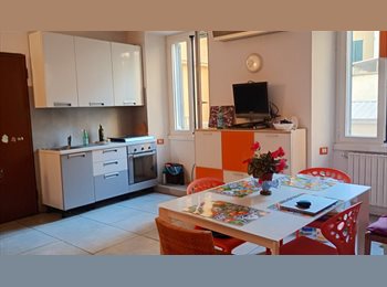 Roomgo IT - Affittasi ampio bilocale di 60 mq con 2 posti letto, Milano - 1.500 € al mese