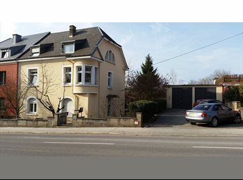 Appartager LU - Location de chambre - Luxembourg-Ville, Luxembourg Ville - 820 € / Mois