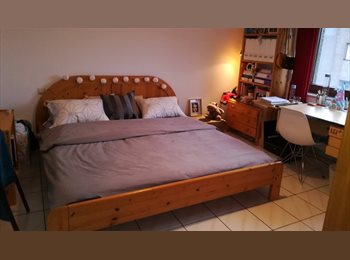 Appartager LU - Luxembourg KIRCHBERG near EIB, EP, E. Court of Justice, ..., Luxembourg - 1.000 € / Mois