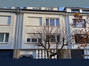 Appartager LU - Luxembourg-Merl / Furnished room in shared townhouse / Chambre meublée dans maison de colocation, Luxembourg - 900 € / Mois