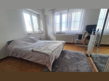 Appartager LU - Bright room with a view in a house with a garden next to EU-institutions, Amazon and the big 4, Luxembourg - 1.000 € / Mois
