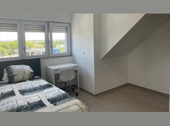 Appartager LU - Rue de Merl, Luxembourg - 1.100 € / Mois