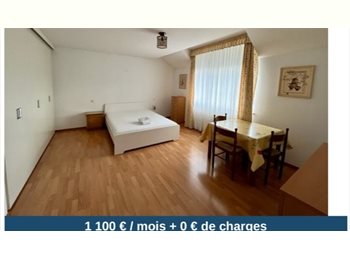 Appartager LU - BIG ROOM IN STRASSEN (WEST LUXEMBURG CITY) AVAILABLE 15 DECEMBER or 1 JANUARY, Luxembourg - 1.100 € / Mois
