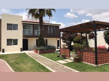 Roomgo MX - International Housing Cholula, San Andrés Cholula - MX$5,000 por mes