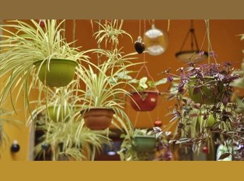 Roomgo MX - En centro de la ciudad, Guadalajara - MX$4,600 por mes