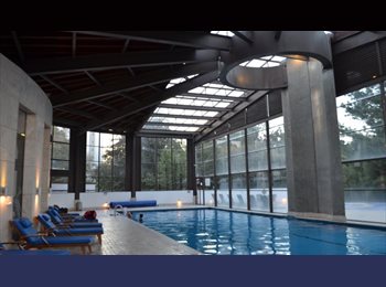 Roomgo MX - ¡ EXPERIMENTA EL VIVIR EN EL SUR DE LA CIUDAD EN UN MARAVILLOSO OASIS CON TODO QUE REQUIERES EN UN M, Coyoacán - MX$7,999 por mes