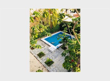 Roomgo MX - CASA TORTUGAS BY MEXPLORADNO, Mérida - MX$4,500 por mes
