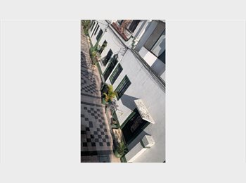 Roomgo MX - Atención! Se nos libera una habitación 12 de Noviembre!, Cuauhtémoc - MX$8,000 por mes