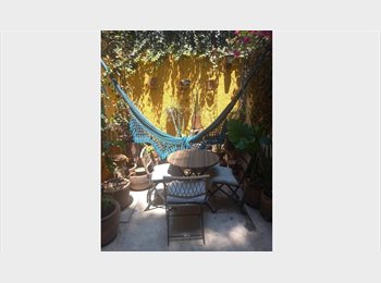 Roomgo MX - ¡ EXPERIMENTA EL VIVIR EN UN MARAVILLOSO OASIS EN EL SUR DE LA CIUDAD !, Tlalpan - MX$6,999 por mes