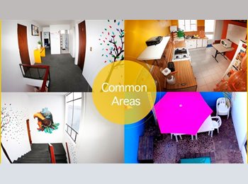 Roomgo MX - Amplias Habitaciones enfrente de Centro Magno, Guadalajara - MX$5,000 por mes