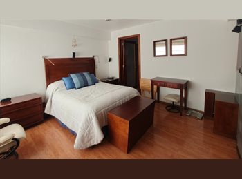 Roomgo MX - Bonito departamento amueblado servicios incluidos, Coyoacán - MX$16,000 por mes
