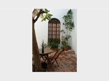 Roomgo MX - RENTO LOFT EN CASONA DEL CENTRO, Querétaro - MX$10,000 por mes