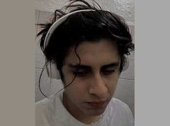 Roomgo MX - Irving - 28 - México - D.F.