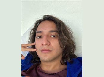 Roomgo MX - Axel - 26 - Cuernavaca