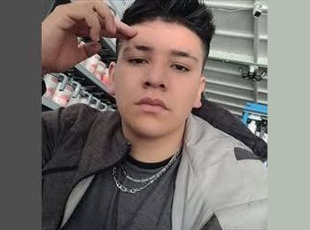 Roomgo MX - Jimbo - 23 - Querétaro