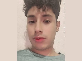 Roomgo MX - Fernando  - 22 - Cuernavaca