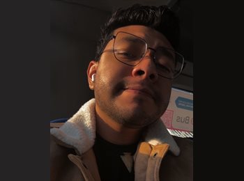 Roomgo MX - Brandon Samas - 25 - Corregidora