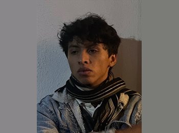 Roomgo MX - Víctor David - 28 - Puebla