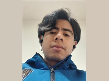 Roomgo MX - Alexis - 27 - Monterrey