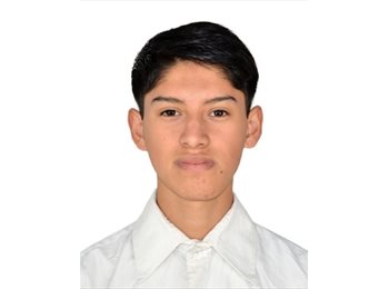 Roomgo MX - Bryan Alexander - 19 - San Luis Potosí