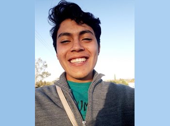 Roomgo MX - Angel Carbajal  - 23 - Querétaro