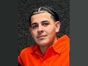 Roomgo MX - Jose - 20 - Tijuana