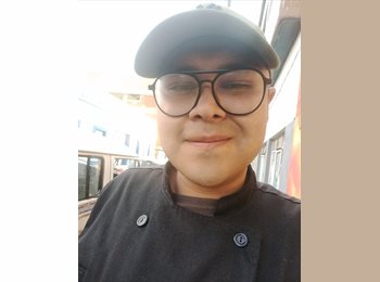 Roomgo MX - Luis Osvaldo González vellano  - 28 - Puebla