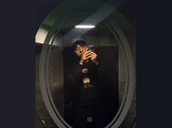 Roomgo MX - Gael - 21 - Coyoacán