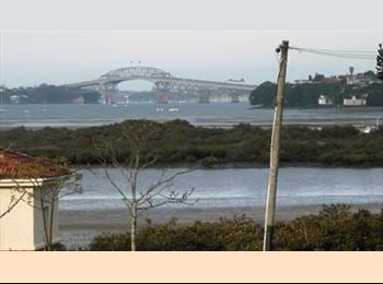 Roomgo NZ - Point Chevalier Beach  Kayak Windsurf, Auckland - $240 pw