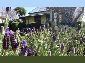 Roomgo NZ - Single room in old backpacker, Christchurch - $180 pw