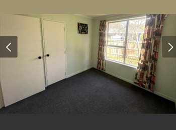 Roomgo NZ - Flatmates wanted, room available now, Palmerston North - $190 pw