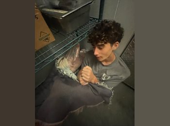 Roomgo NZ - Tyren - 19 - Dunedin