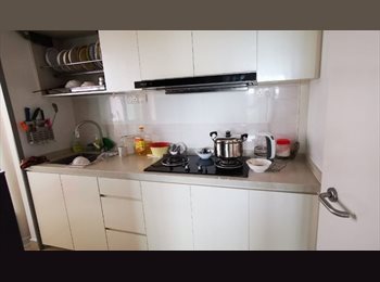 Roomgo SG - Looking for 1 female tenant/ Master bedroom / include electricity, Internet,  Aircon/Can cook/ Near , Holland Village - $400 pm
