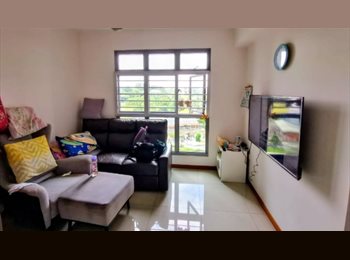 Roomgo SG - **Looking for 1 female tenant/ (Master bedroom / include electricity, Internet, Aircon/Can cook/ mrt, Holland Village - $400 pm