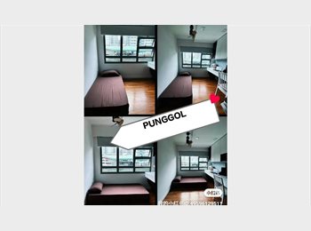 Roomgo SG - ONLY 1 in whole Singapore, HURRY, DON'T MISS.SUPER LOCATION. ALL AMENITIES WITHIN WALKING DISTANCE. , Punggol - $1,400 pm