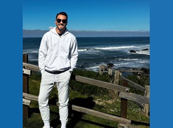 Roomgo SG - Panda - 46 - Pioneer