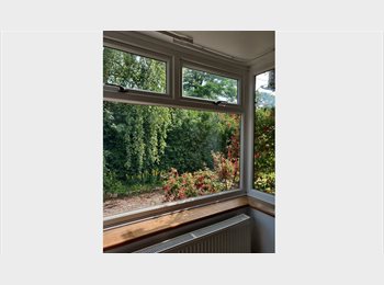 Roomgo UK - Leafy Bungalow - room to share, Chester - £750 pcm